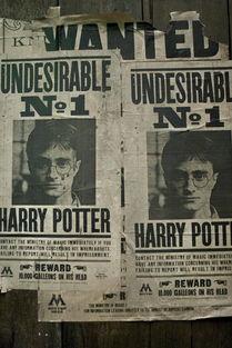 哈利波特7月最新爆料,神秘预言再起，全新剧情揭秘